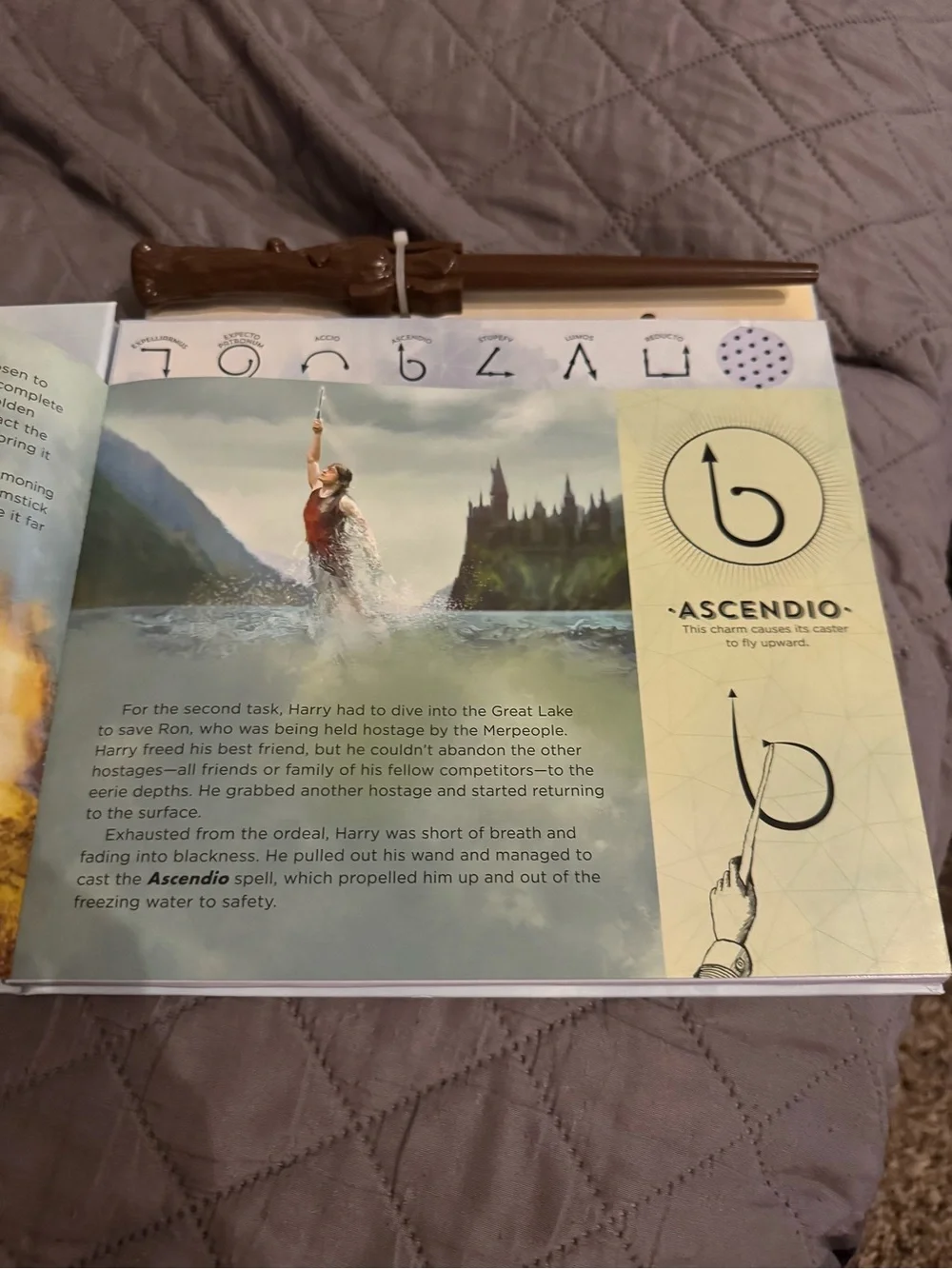 Scholastic interactive hardcover